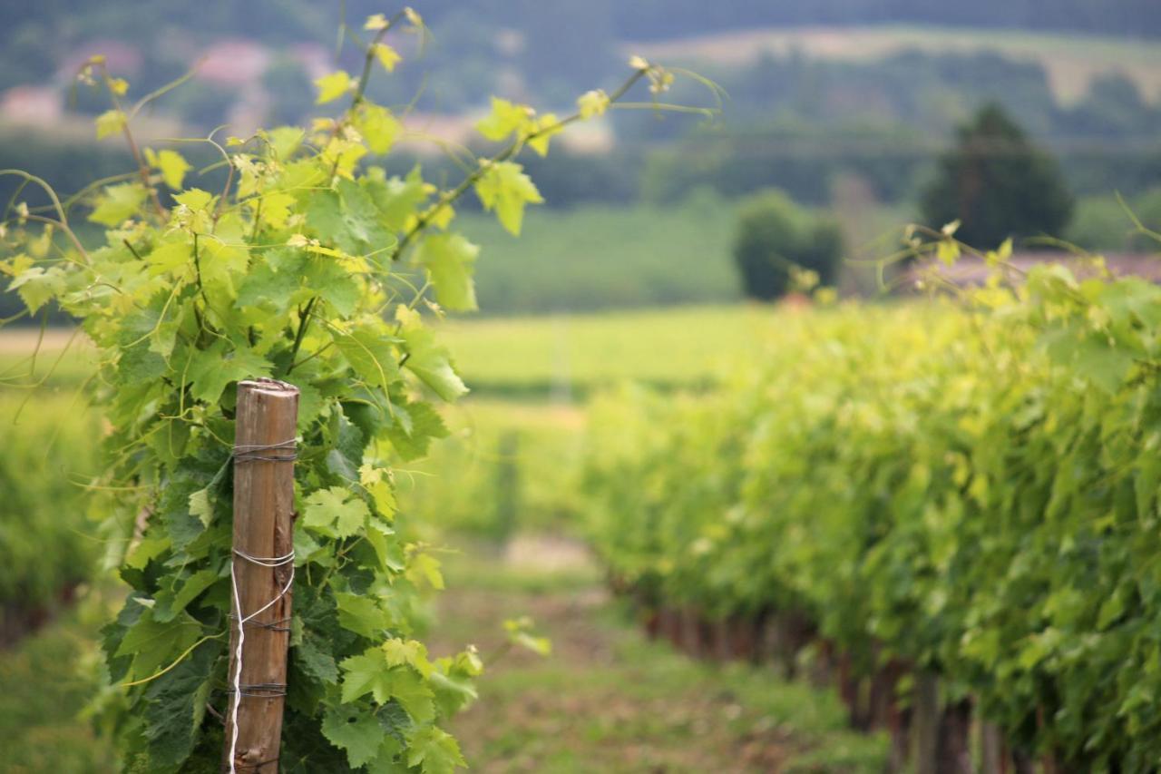 Appartamento La Maronniere Challignac Esterno foto